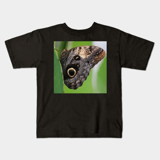 Schmetterling Kids T-Shirt by OVP Art&Design